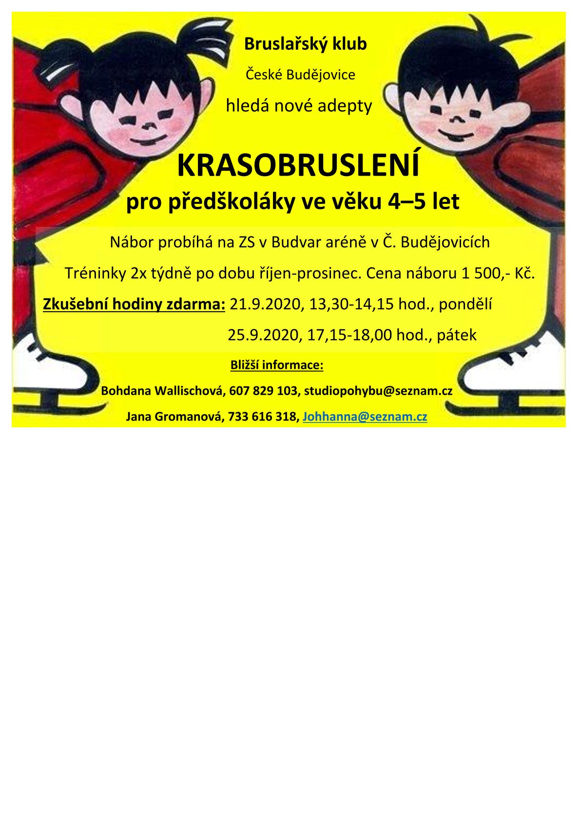 Nábor - krasobruslení 2020