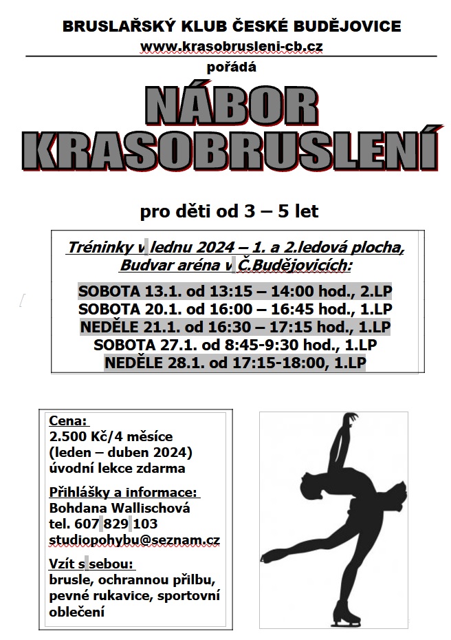 Nábor krasobruslení